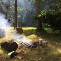 Bushcraft & Woodland Skills - Eventive